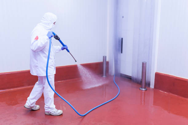 Best Driveway Pressure Washing  in Clearfield, PA